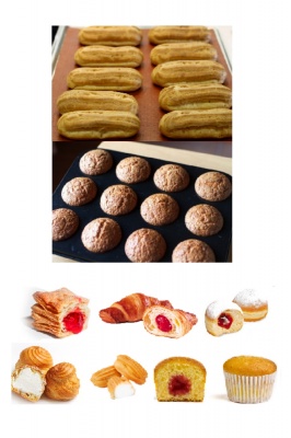 Шприц-дозатор автоматический шестеренчатый (сенсорная пан. упр.) Danler NG-20